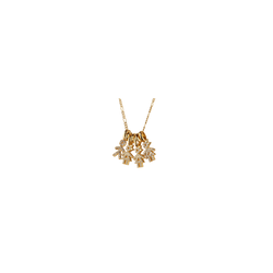 Collar Darcy - 1 Niño y 3 Niñas